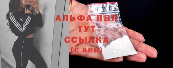 2c-b Горняк