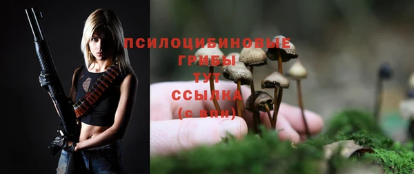 синтетический гашиш Гусь-Хрустальный