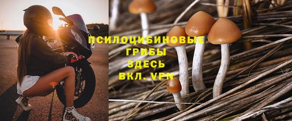 мескалин Горнозаводск