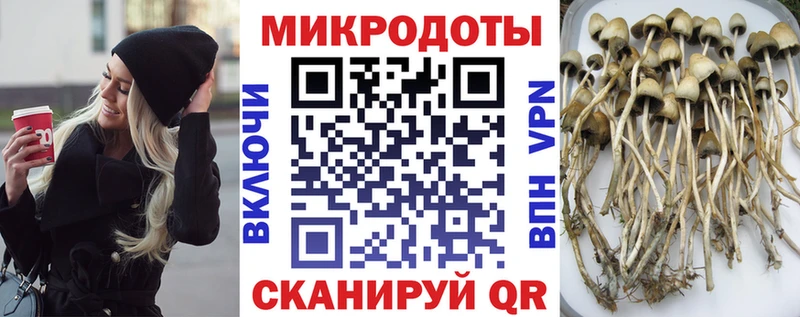 Псилоцибиновые грибы Psilocybine cubensis где найти Заозёрный