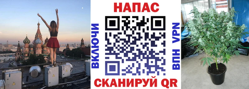 Конопля план Заозёрный
